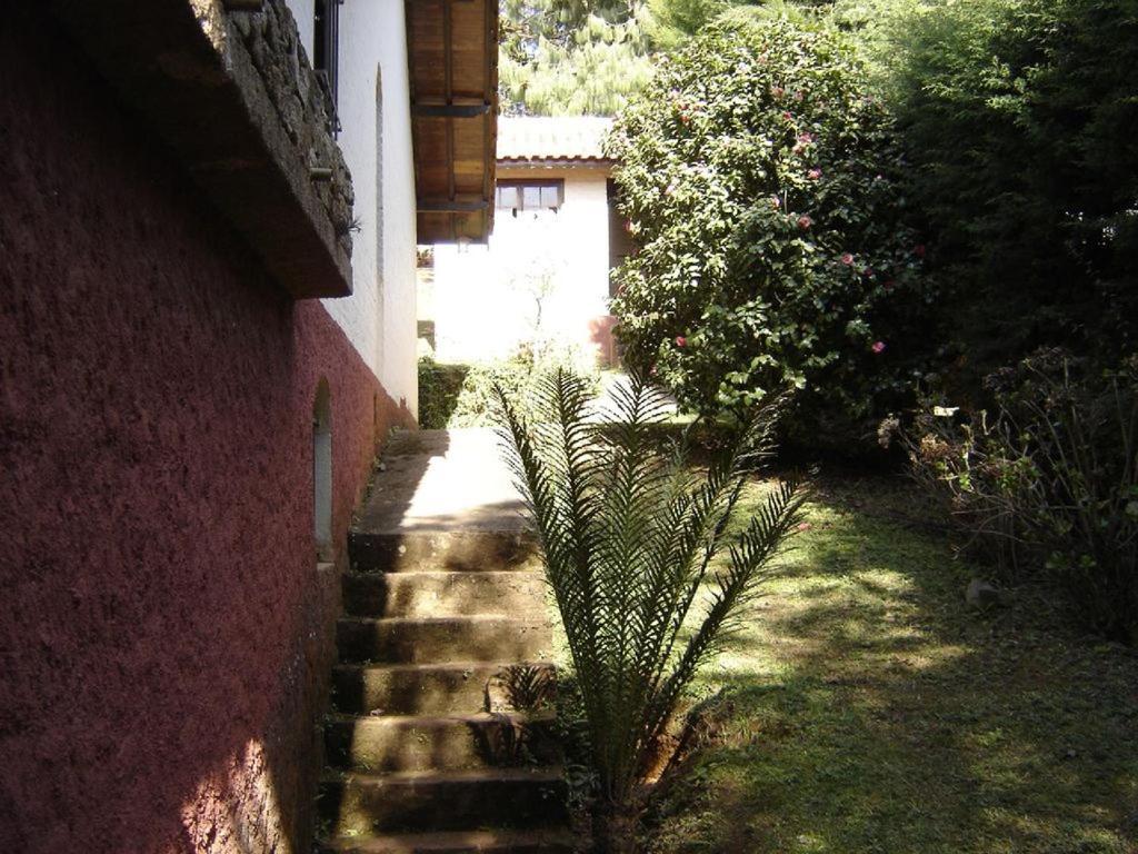Casa Das Dalias Monte Verde  Exterior photo